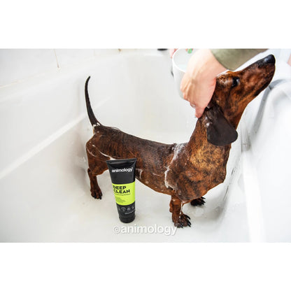 Animology - Deep Clean Intensive Dog Shampoo 250ml
