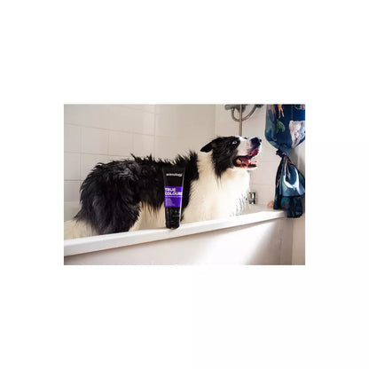 Animology - True Colours Dog Shampoo 250ml