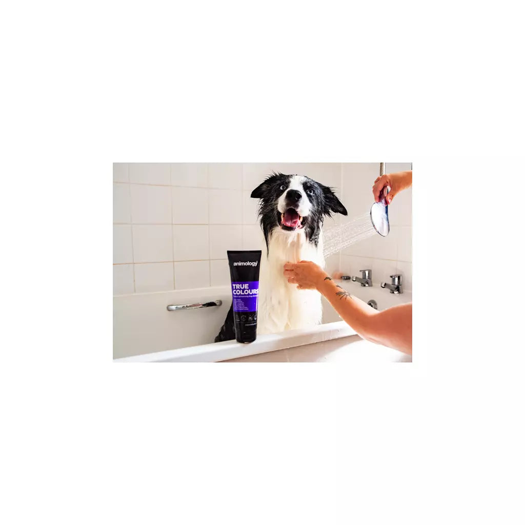 Animology - True Colours Dog Shampoo 250ml