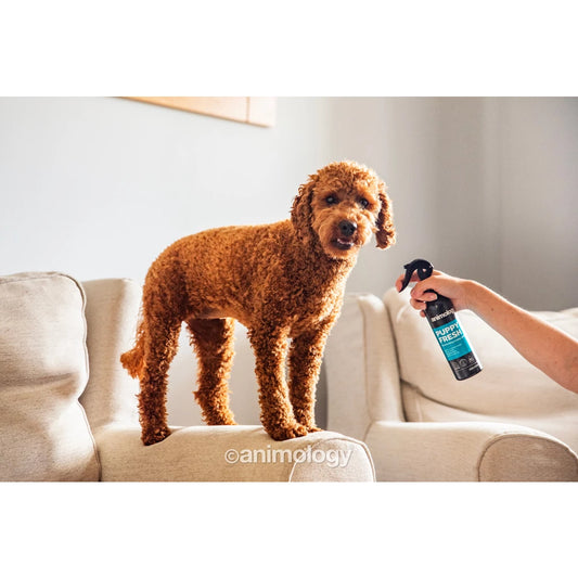 Animology - Puppy Fresh Deodorising Puppy Spray 250ml