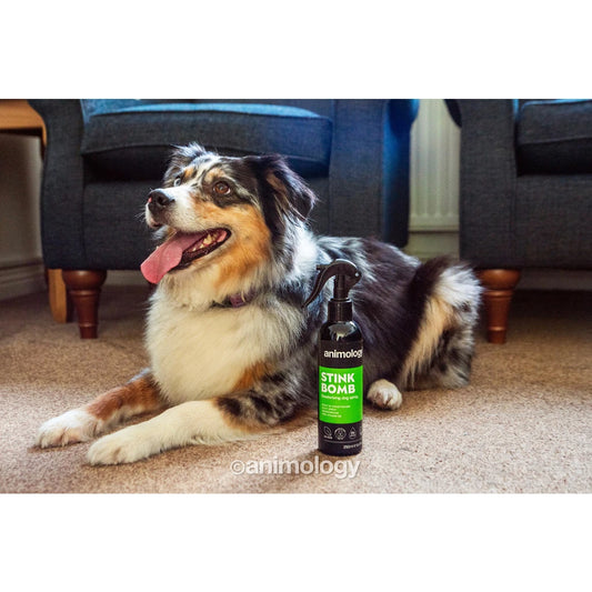 Animology - Stink Bomb Deodorising Dog Spray 250ml