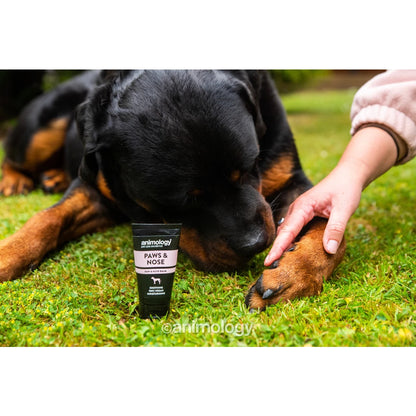 Animology - Paws & Nose Balm 50 ml