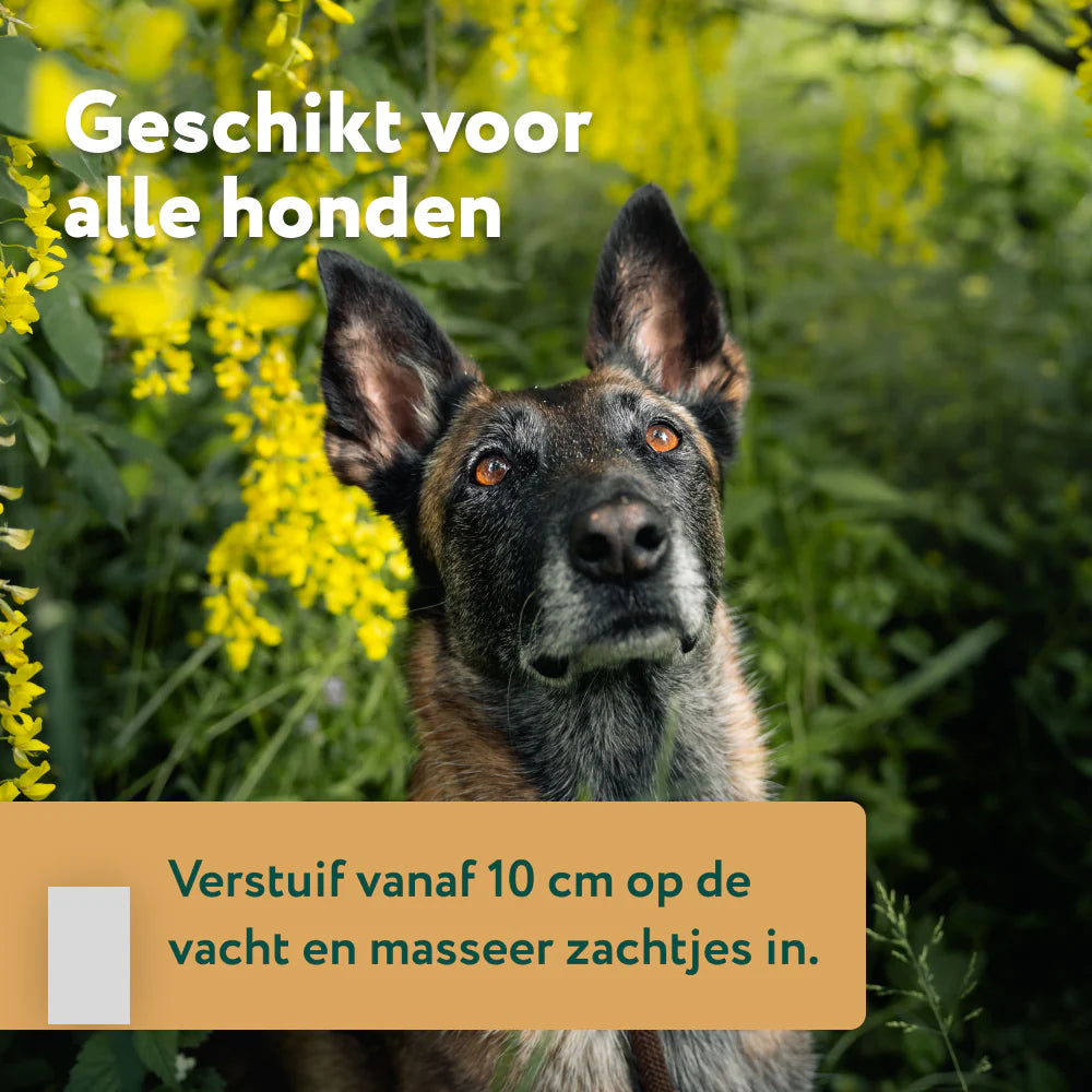 DS Anti-Parasiet, Vlooi en Teken | Bescherm je hond tegen parasieten | 100 ml