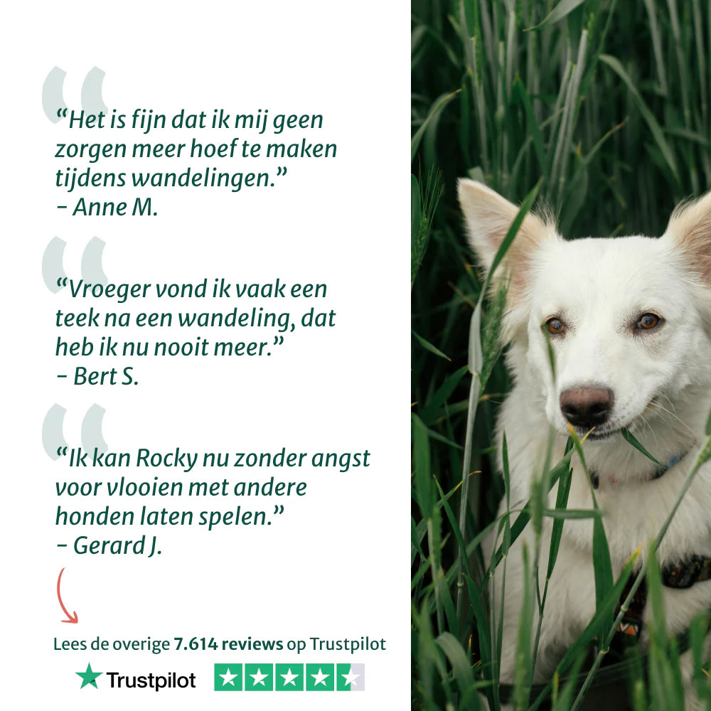 DS Anti-Parasiet, Vlooi en Teken | Bescherm je hond tegen parasieten | 100 ml