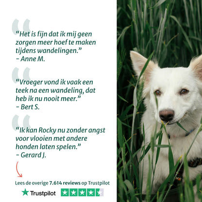 DS Anti-Parasiet, Vlooi en Teken | Bescherm je hond tegen parasieten | 100 ml