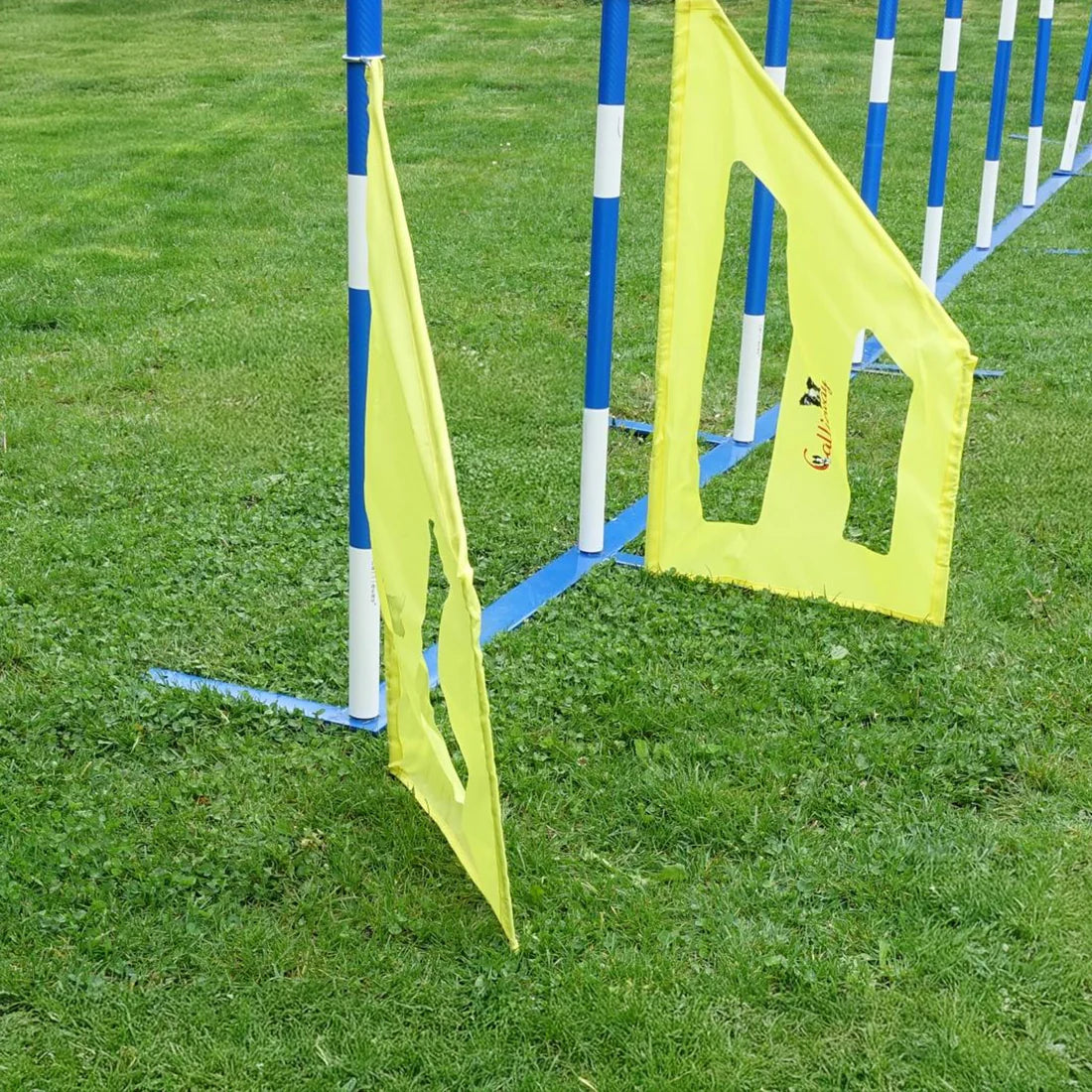 Agility Slalom Wings