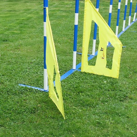 Agility Slalom Wings