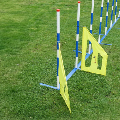 Agility Slalom Wings