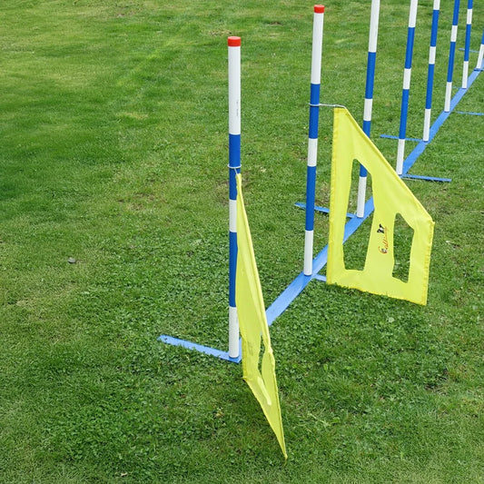 Agility Slalom Wings