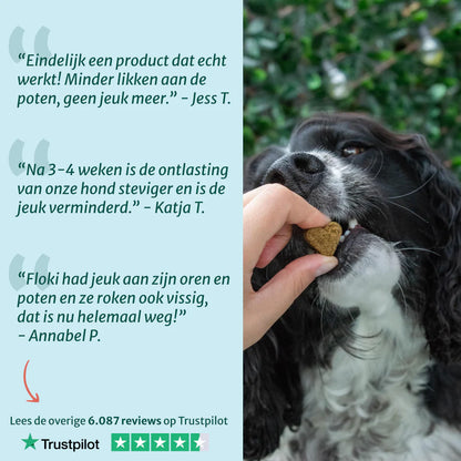 DS Anti-Jeuk Probiotica | 100% natuurlijk | 60 snoepjes