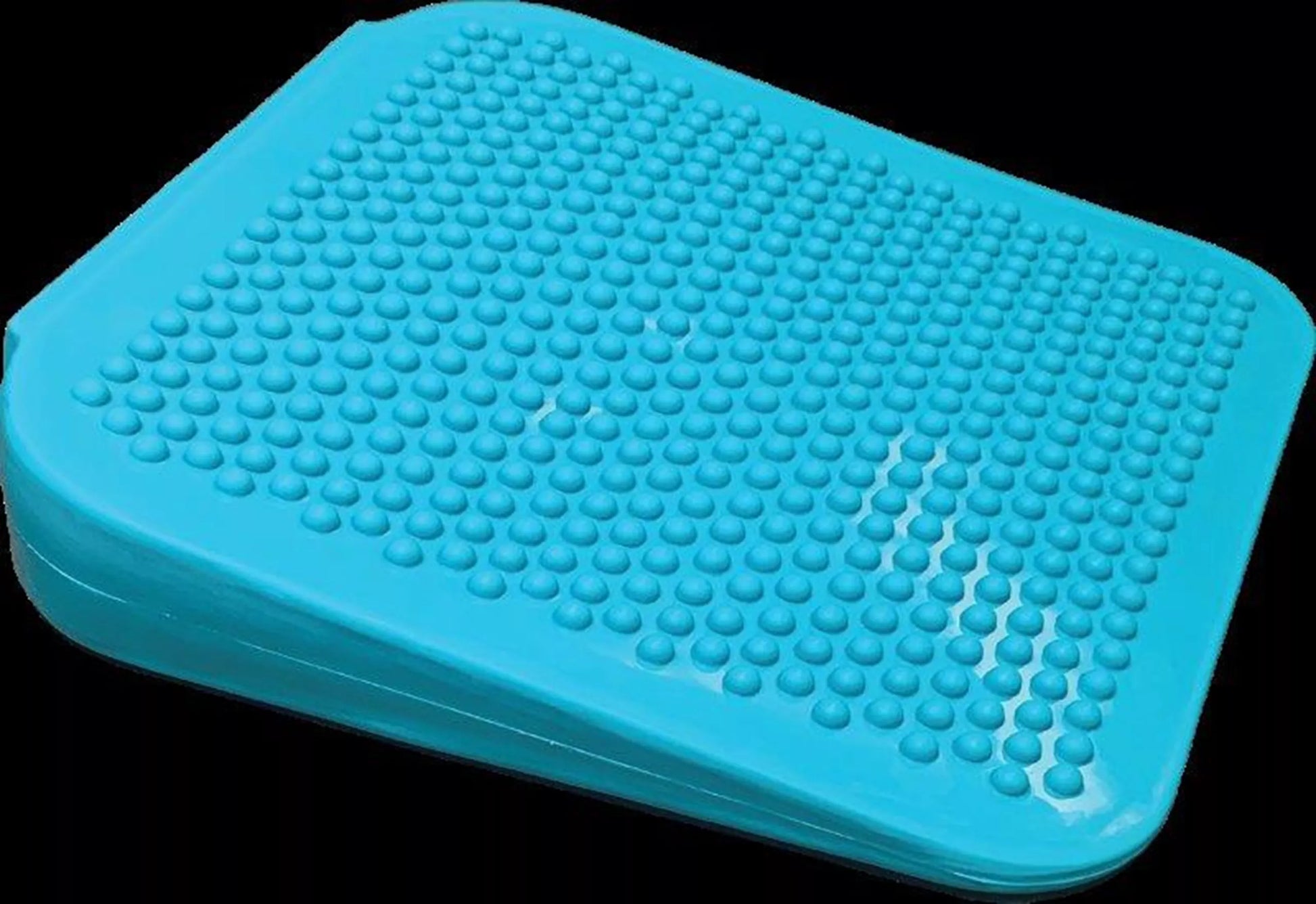 Fitpaws Inflatable Ramp FitPAWS Dog Balance Ramp – Daan4Dogz