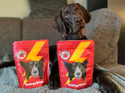 Fastdog Energy Bites - 240 gram