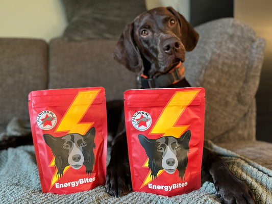 Fastdog Energy Bites - 240 gram