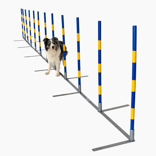 Agility Slalom "2by2 Flex"