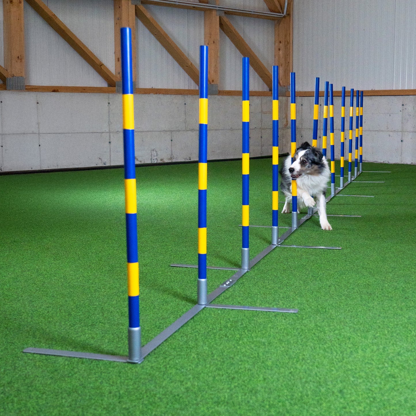 Agility Slalom "2by2 Flex"