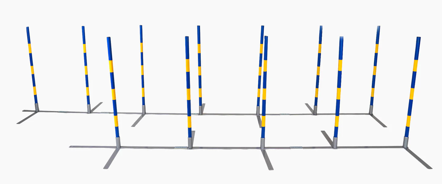 Agility Slalom "2by2 Flex"