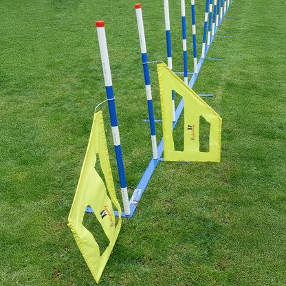 Agility Slalom Wings