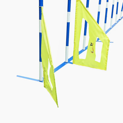 Agility Slalom Wings