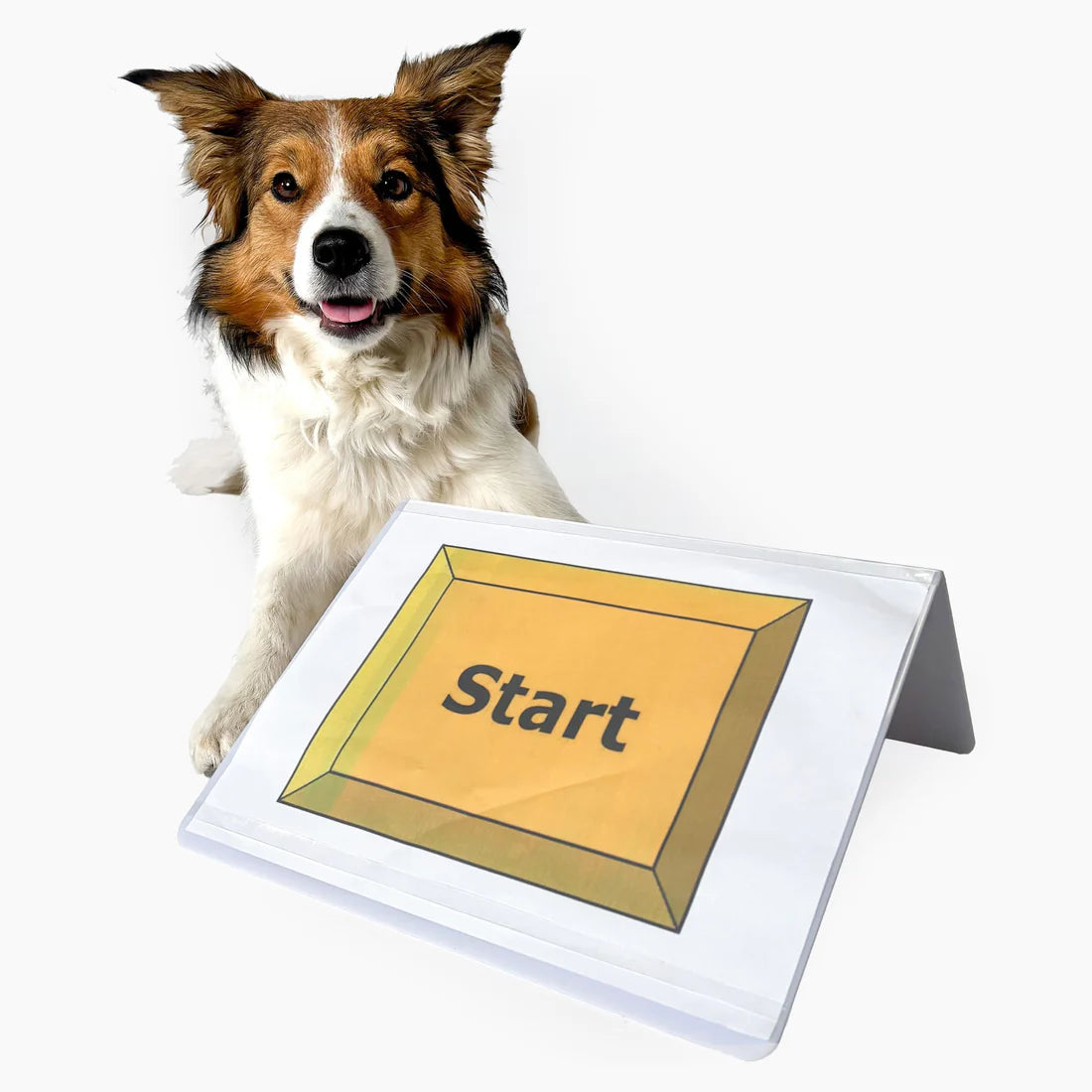 Rally Obedience Display liggend A4 formaat - weerbestendig