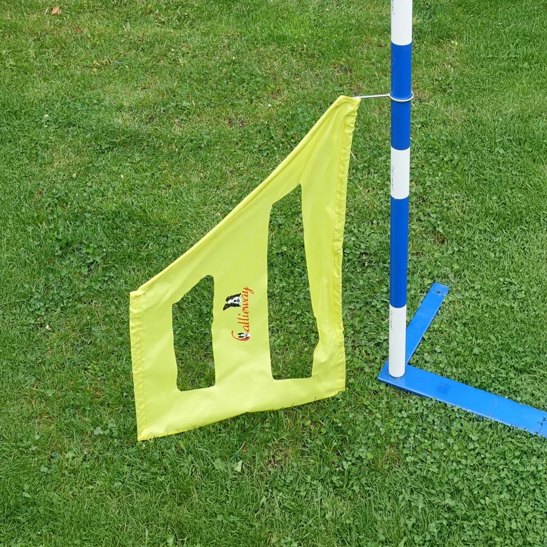 Agility Slalom Wings