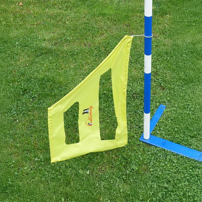 Agility Slalom Wings