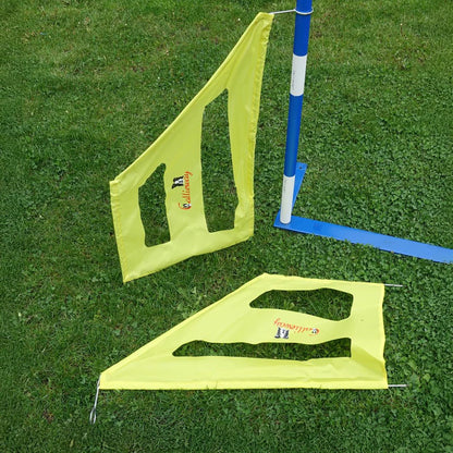 Agility Slalom Wings