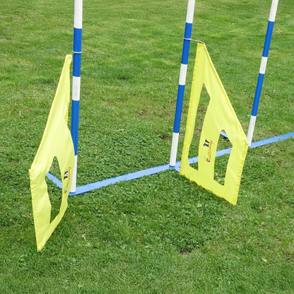 Agility Slalom Wings