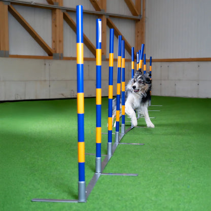 Agility Slalom "Vario"