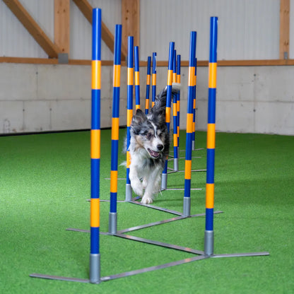Agility Slalom paal met schroefdraad - per stuk