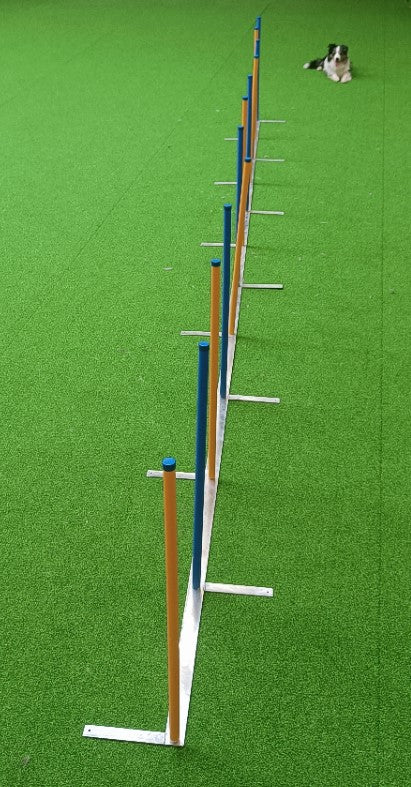 Agility Slalom "Trophy"