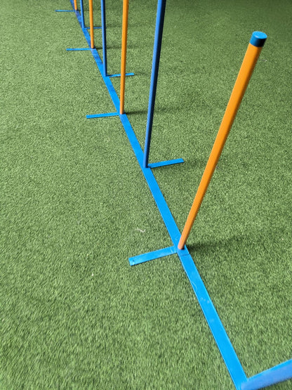 Agility Slalom "Trophy"