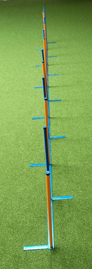 Agility Slalom "Trophy"
