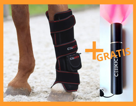 CellKick - Beenpad Ultimate + GRATIS HH CORE