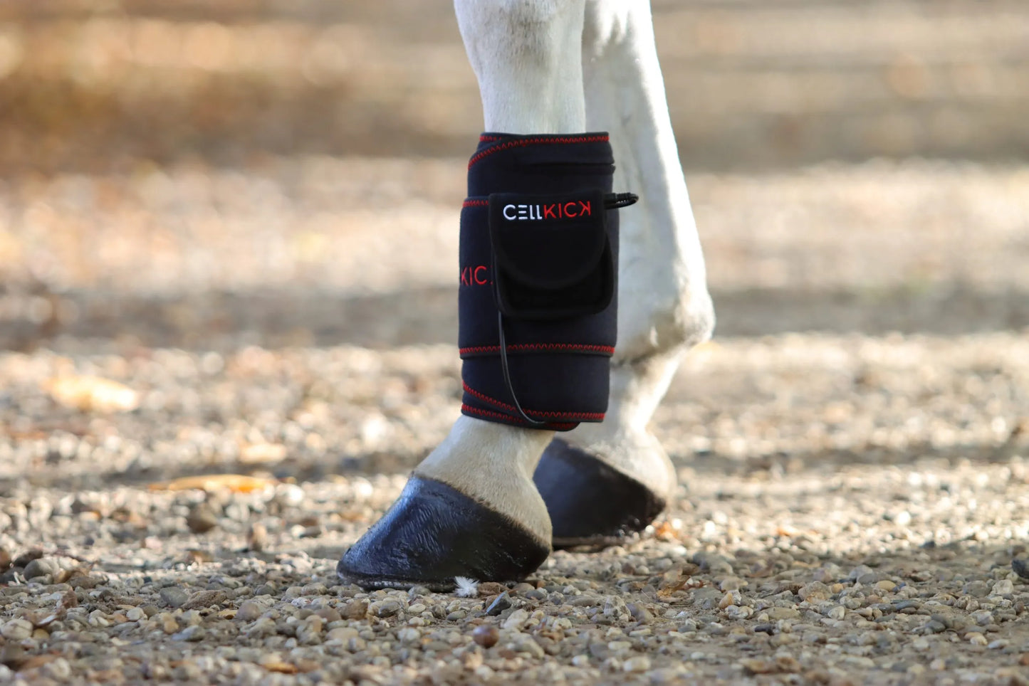 CellKick - Beenpad Pro Set + GRATIS HH CORE