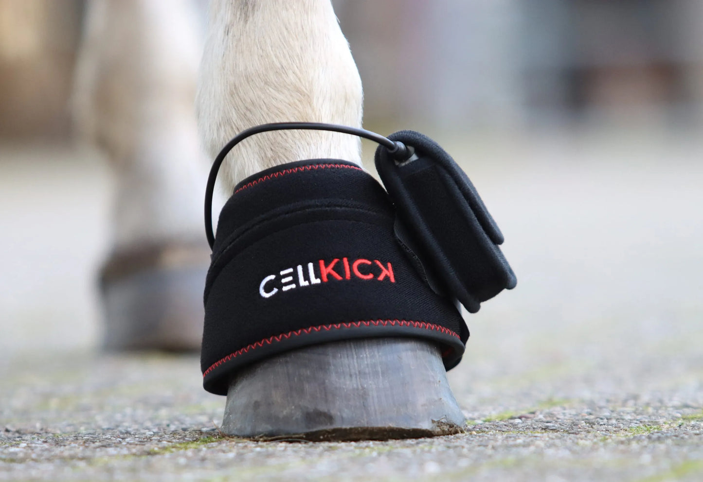 CellKick - Hoefpad set + GRATIS OPBERGTAS S