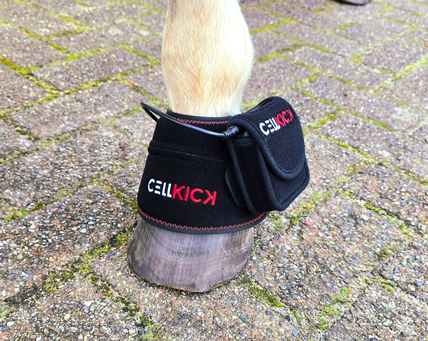 CellKick - Hoefpad + GRATIS OPBERGTAS S