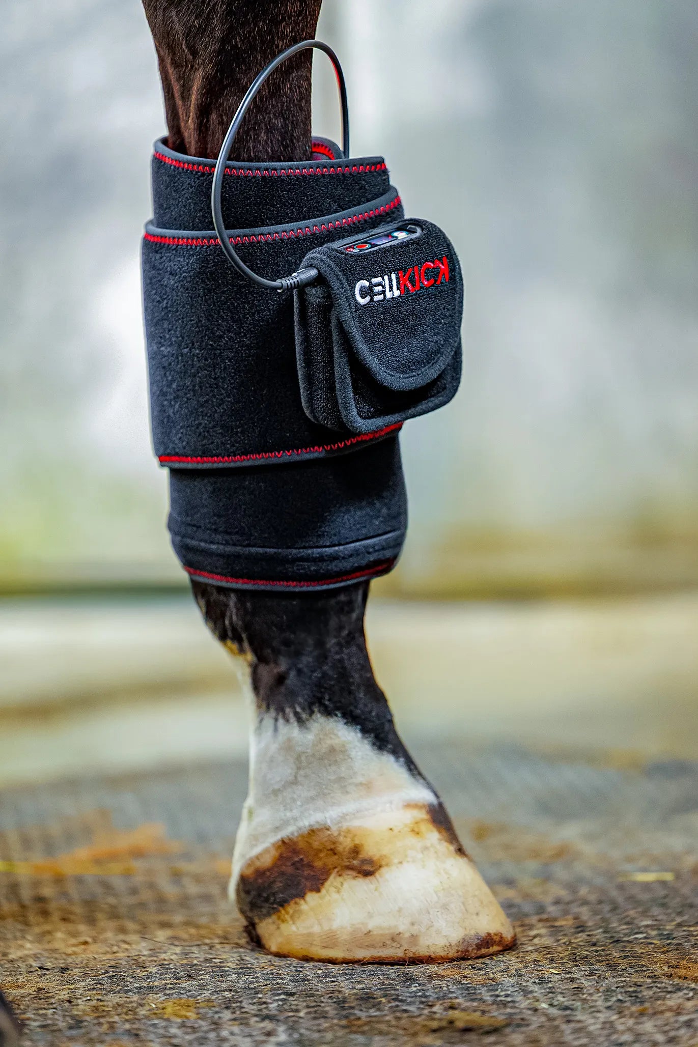 CellKick - Beenpad Pro Set + GRATIS HH CORE