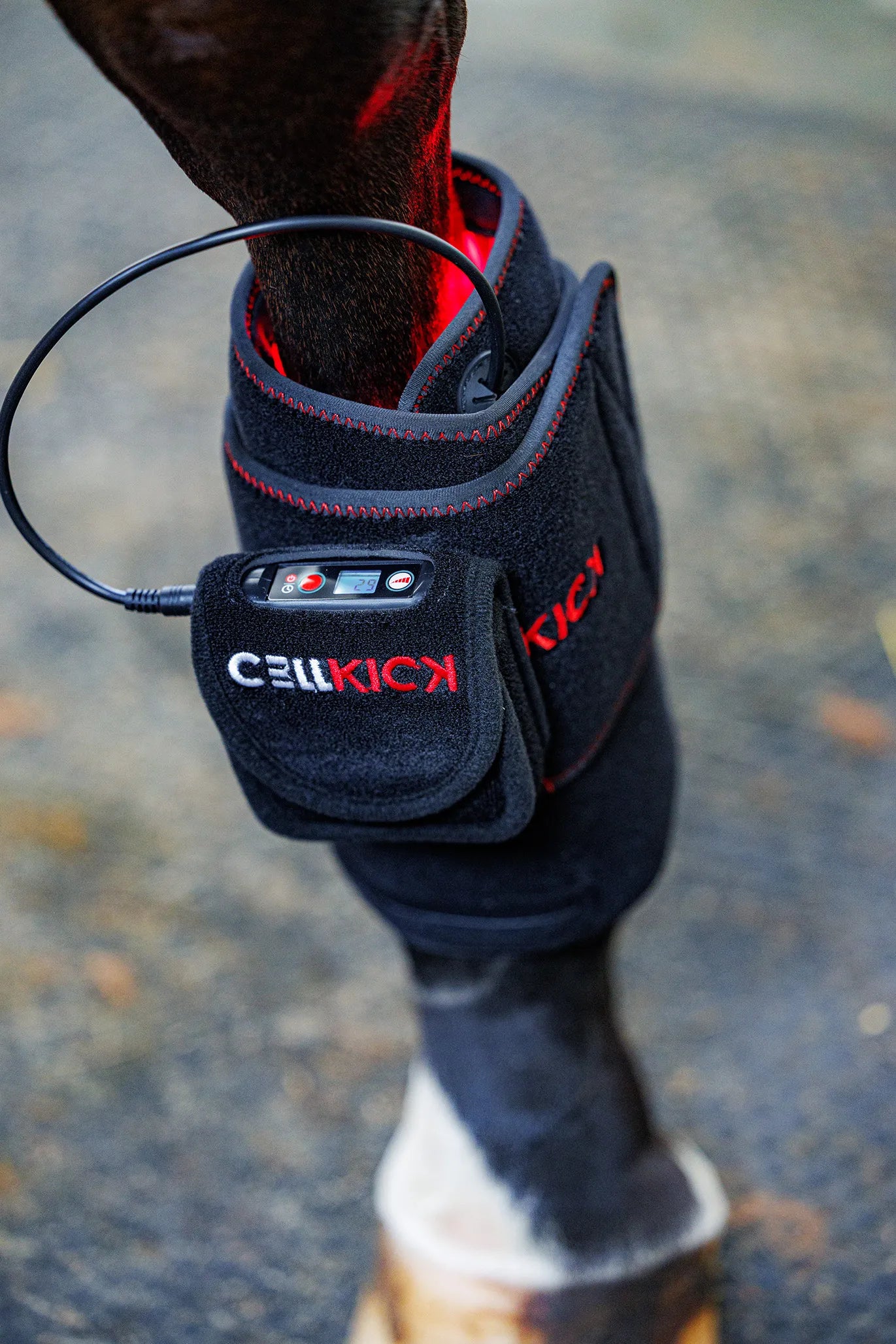 CellKick - Beenpad Pro Set + GRATIS HH CORE