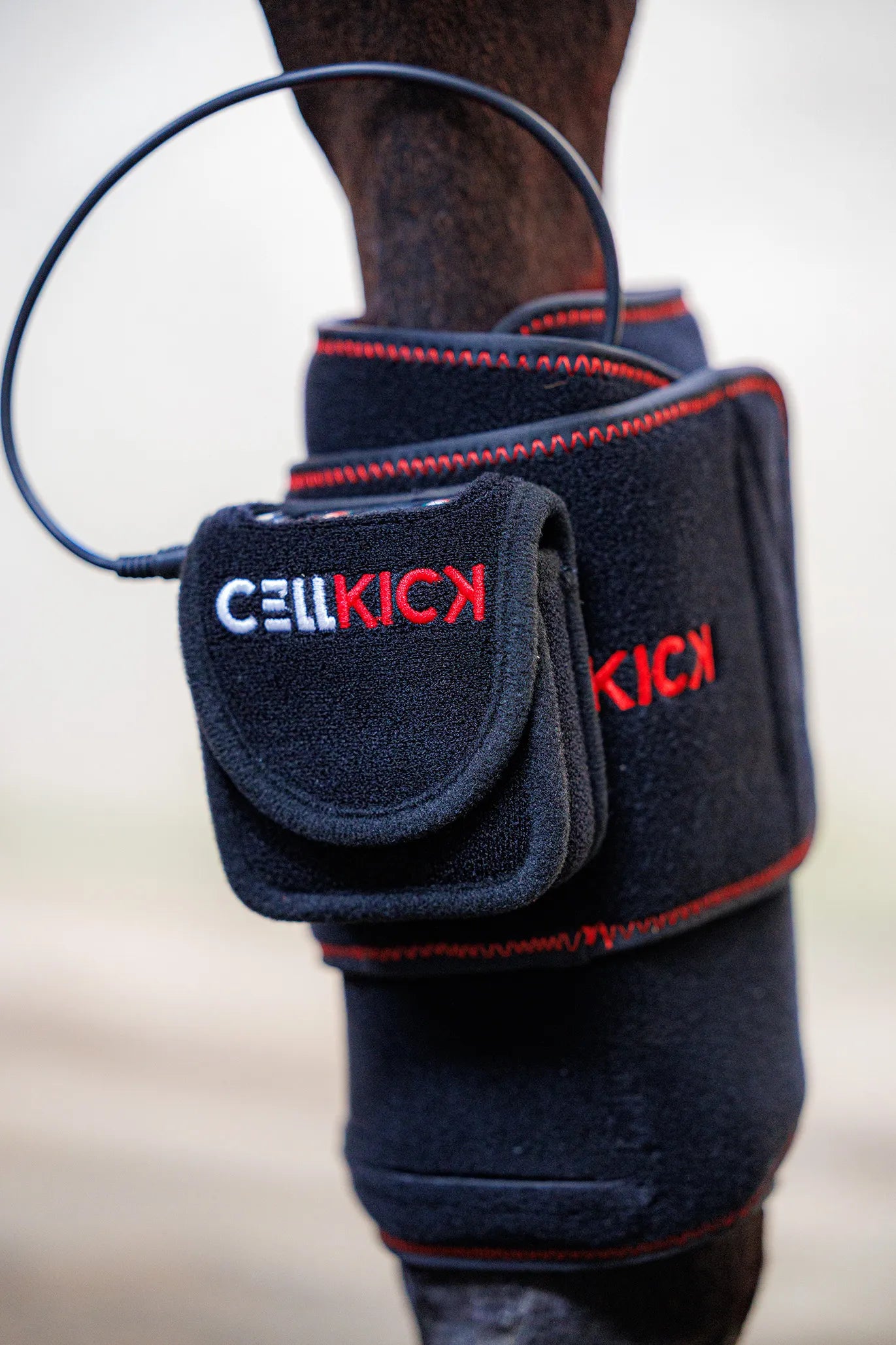 CellKick - Beenpad Pro Set + GRATIS HH CORE
