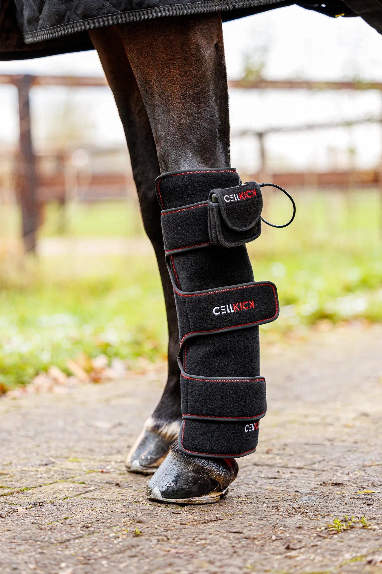 CellKick - Beenpad Ultimate + GRATIS HH CORE