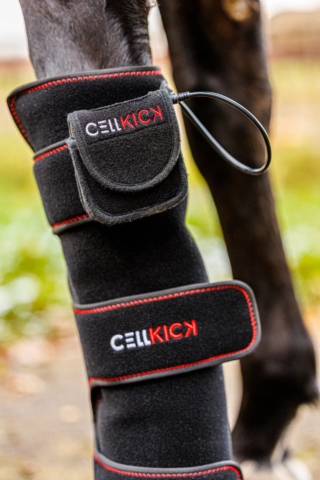 CellKick - Beenpad Ultimate + GRATIS HH CORE