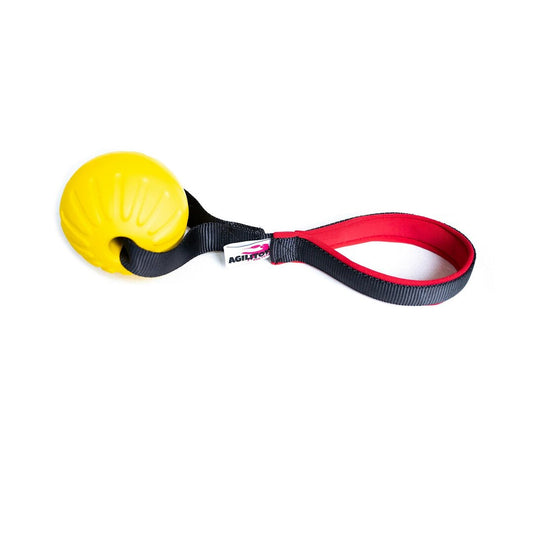 Agilitoy - ChuckTug Sunshine Float Short