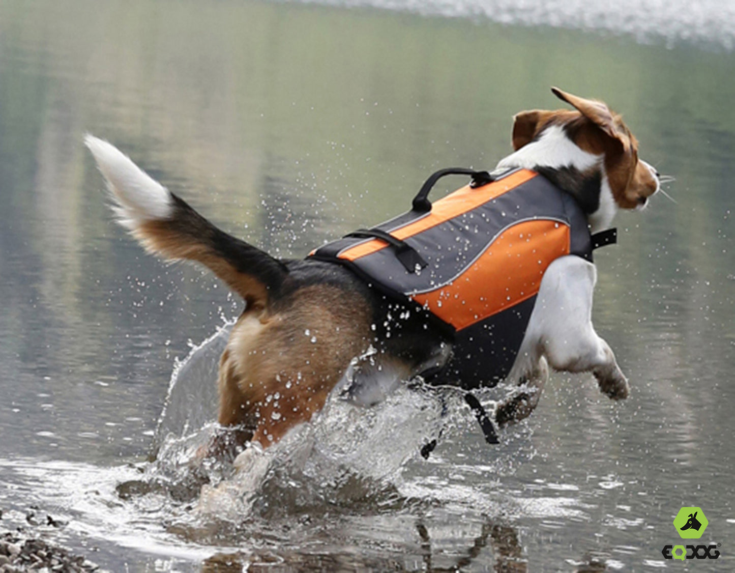 EQDOG® Classic LifeVest - reddingsvest