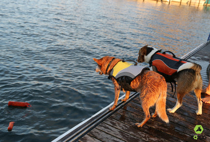 EQDOG® Classic LifeVest - reddingsvest