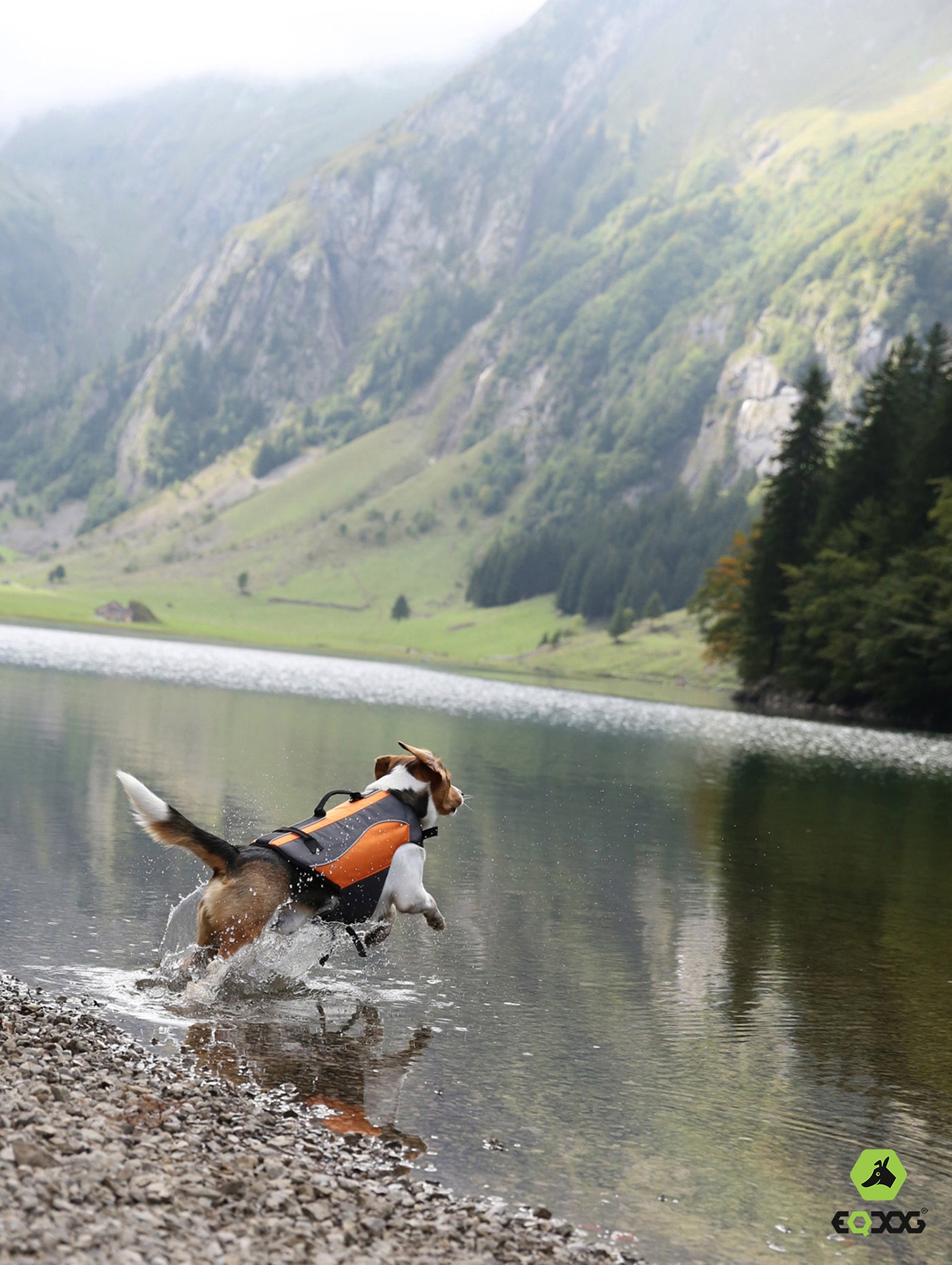 EQDOG® Classic LifeVest - reddingsvest