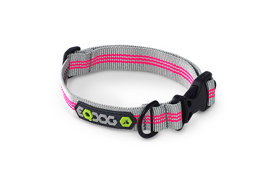 EQDOG® Classic Collar - halsband div. kleuren