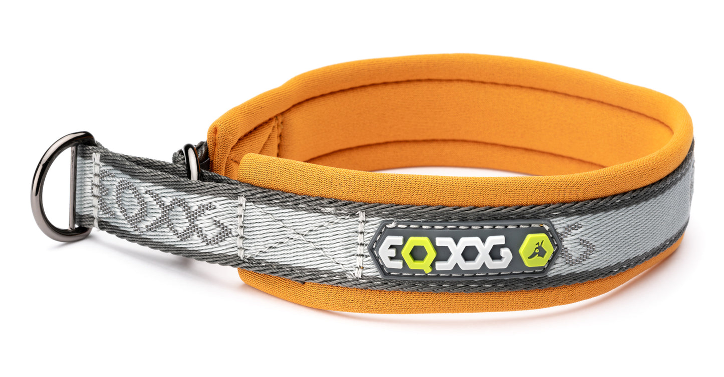 EQDOG® Pro Collar - halsband div. kleuren