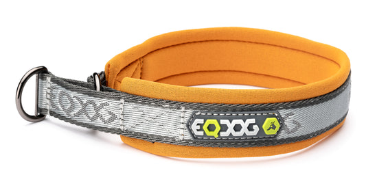 EQDOG® Pro Collar - halsband div. kleuren