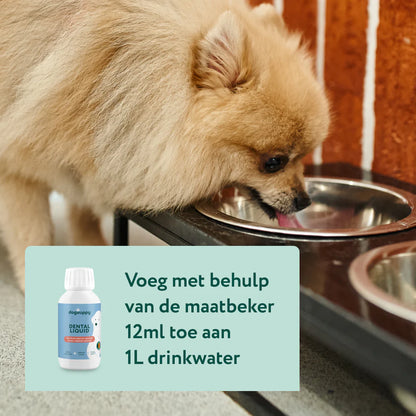 DS Dental Liquid | Voor een frisse adem en gezond gebit | 100% natuurlijk | 250 ml