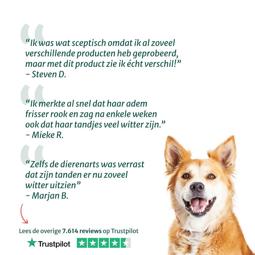 DS Dental Liquid | Voor een frisse adem en gezond gebit | 100% natuurlijk | 250 ml